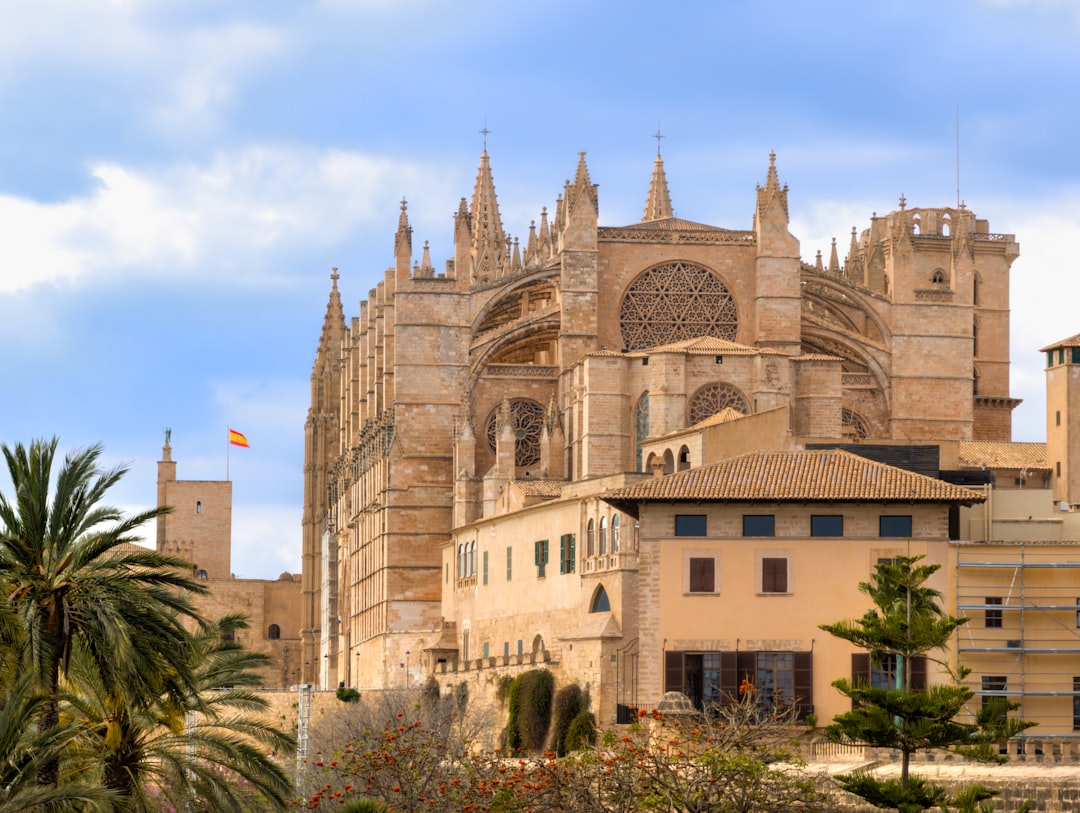 Palma de Mallorca Cathedral La Seu and waterfront sunrise aerial