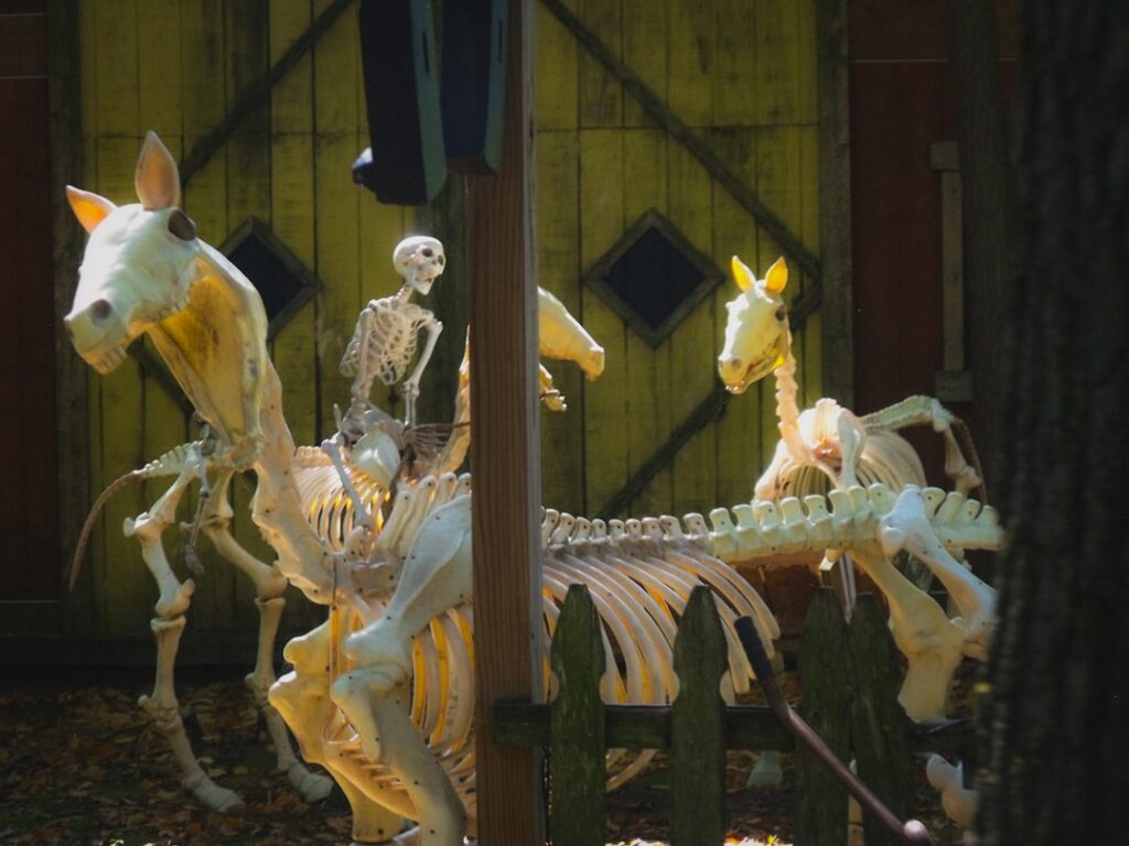 dinosaur skeletons atrium natural history museum immersive lighting